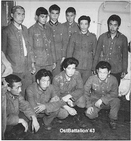 musulmanes