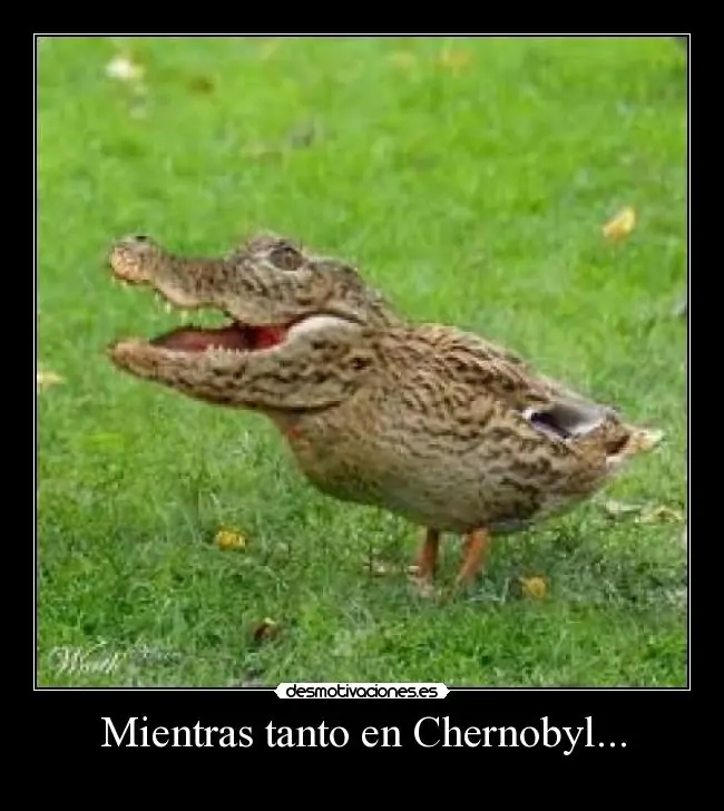 Mientras tanto en Chernobyl