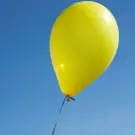 Sal