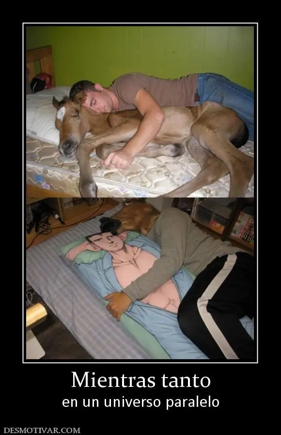 humor
