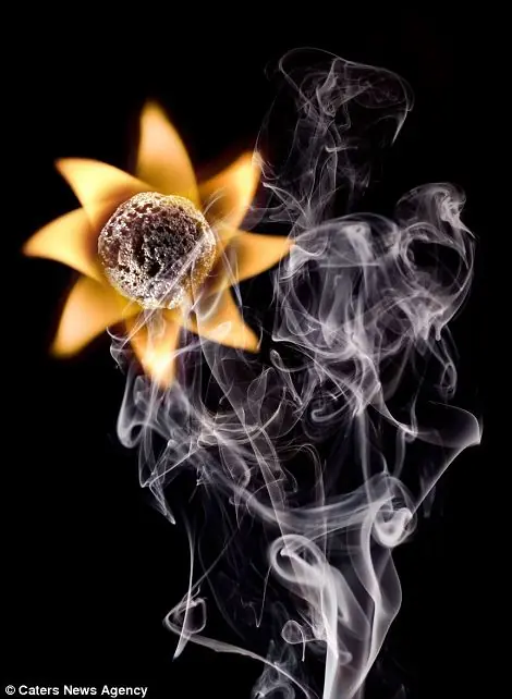 fuego