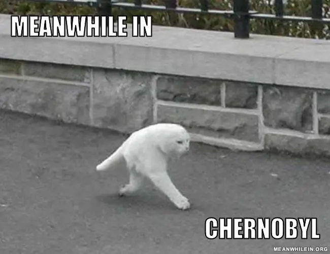 Chernobyl