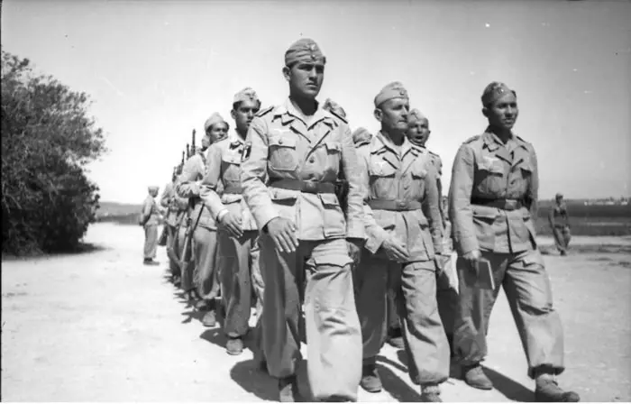 Combatientes extranjeros en la Alemania Nazi
