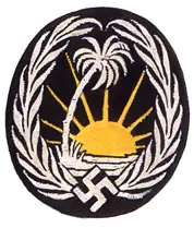 nazi