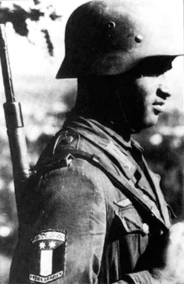 Combatientes extranjeros en la Alemania Nazi