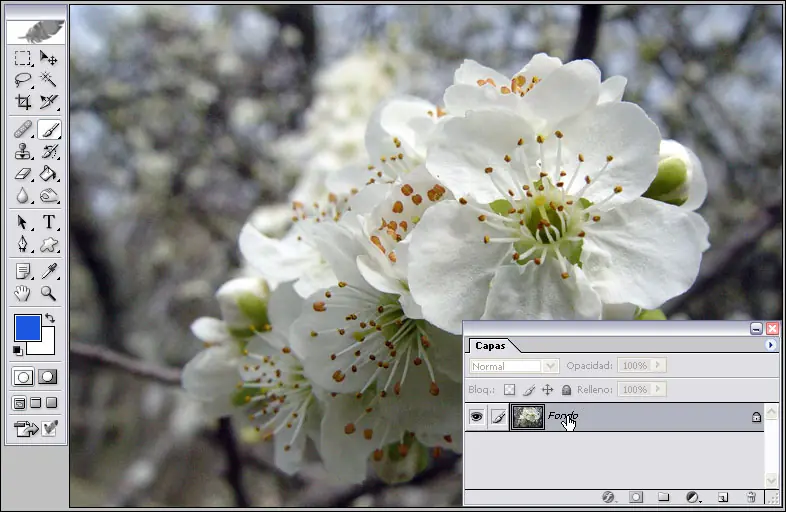 photoshop