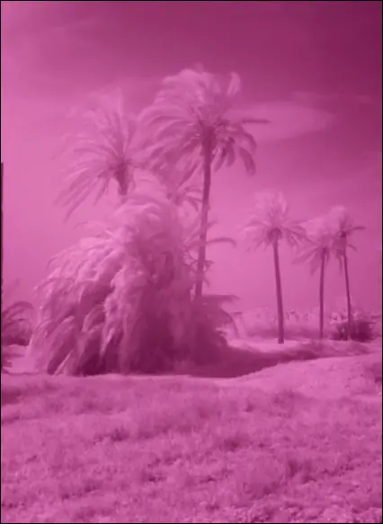 Tecnicas Faciles Para Colorear (Photoshop)
