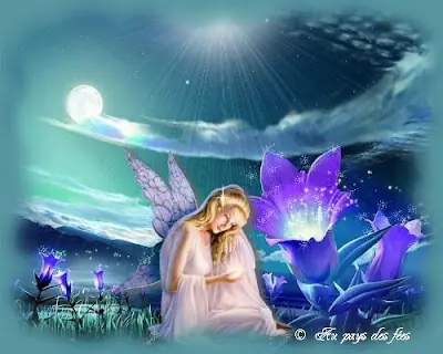 cuerva...