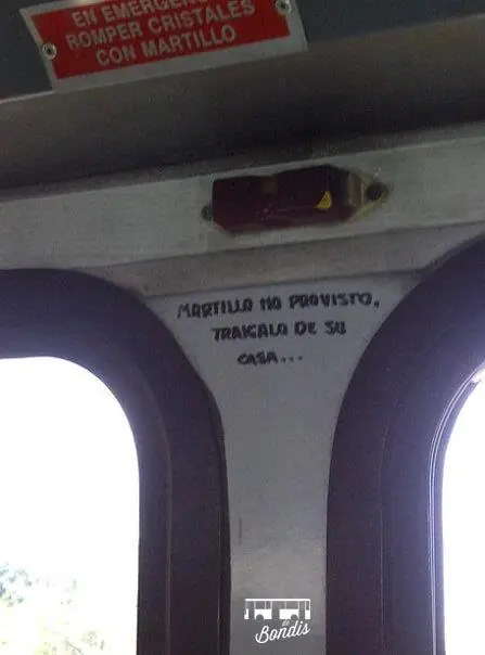 colectivo