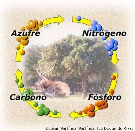 Todo Sobre la Agronomia.