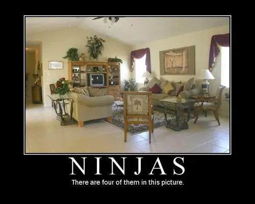 muchas imagenes curiosas
