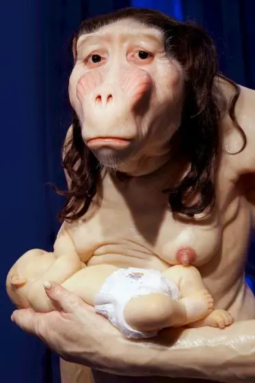 Piccinini