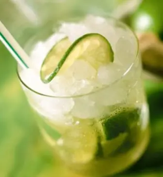 Cómo preparar buenos tragos caseros