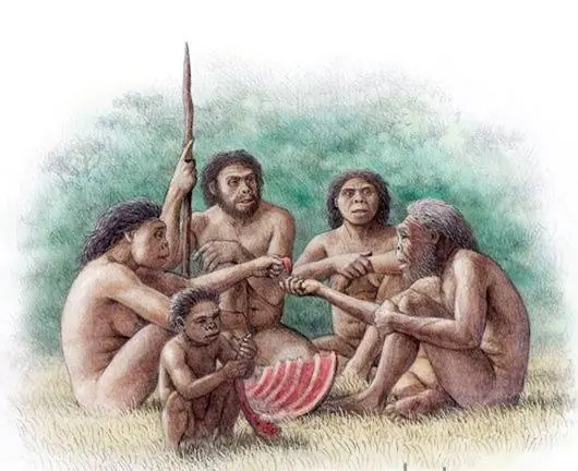 seres humanos