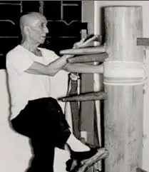 Artes Marciales, apuntes. "Wing Chun" o "Wing