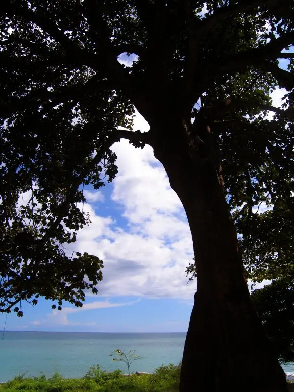 panama