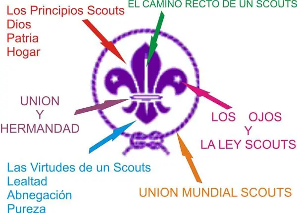 creador scout