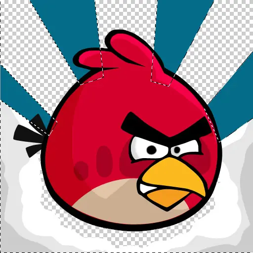 angry birds!