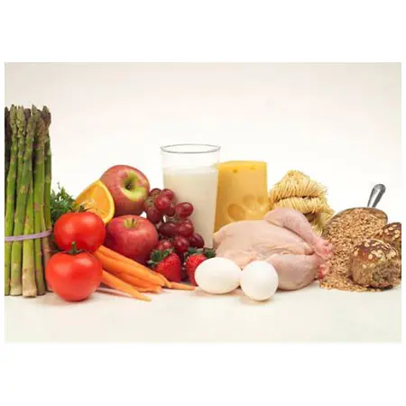 alimentos
