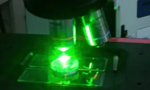 ciencia