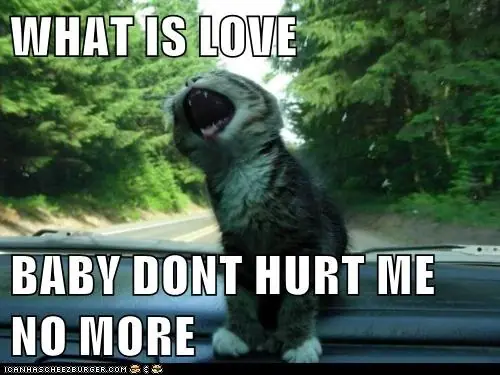 baby dont hurt me