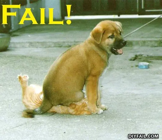 imagenes fail