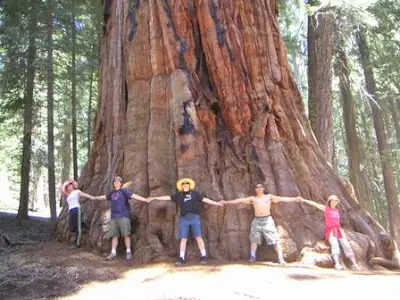 curiosidades sobre la naturaleza