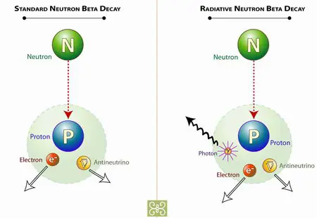 nobels