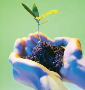 Destacan un aumento de la conciencia ecológica