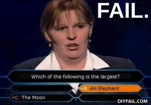 WTF