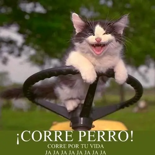 imagenes