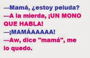gracia