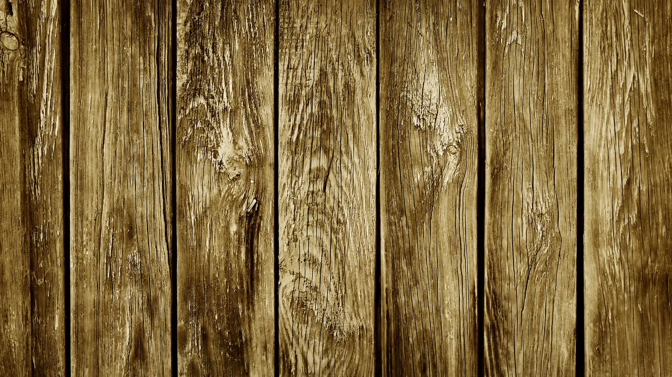 texturas