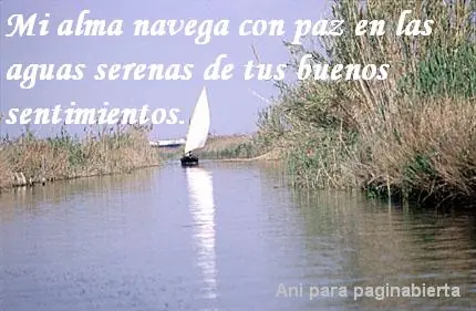 El amor es ciego y la locura lo acompaña...