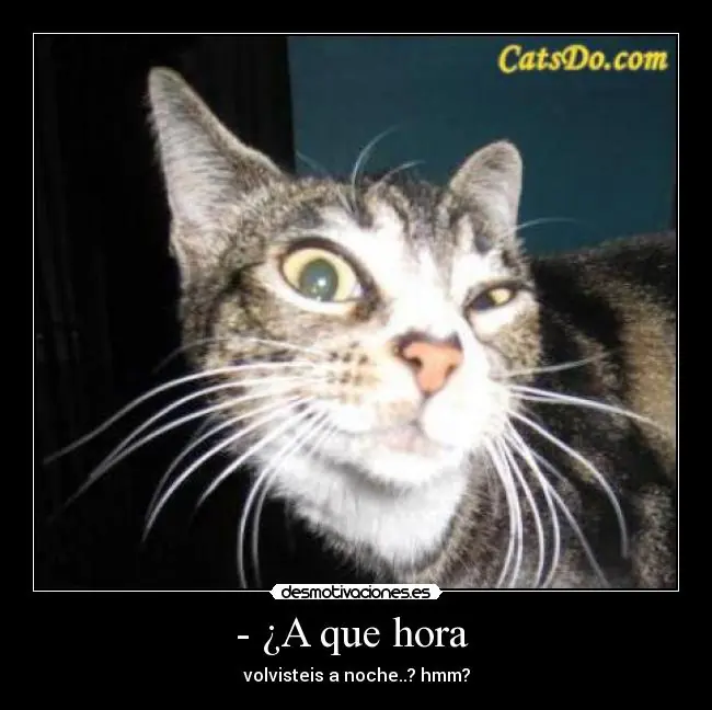 alegrarte