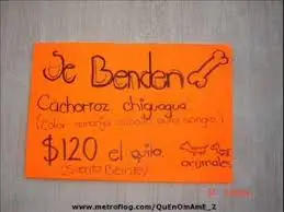 redaccion