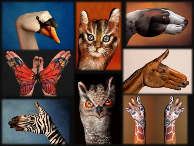 Explican 8 Grandes Misterios Del Ser Humano