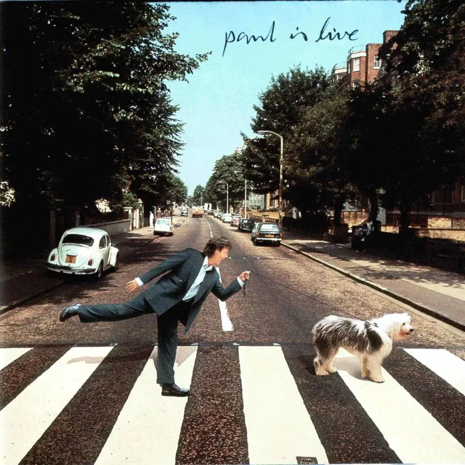 mi homenaje Paul Mcartney