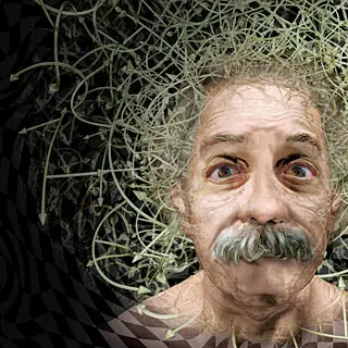 teoria