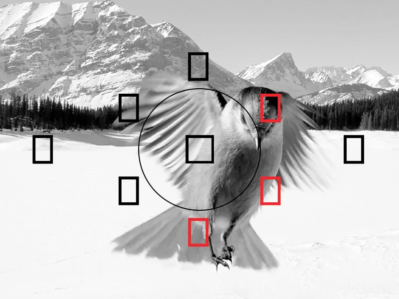 Conceptos básicos de fotografia.