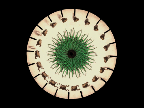 Phenakistoscope