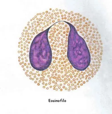 analisis clinicos