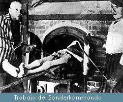 nazismo