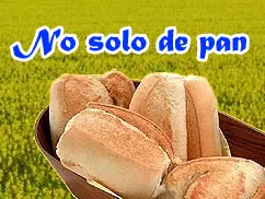 ¿Dónde encontrar la felicidad?