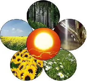 biodiesel