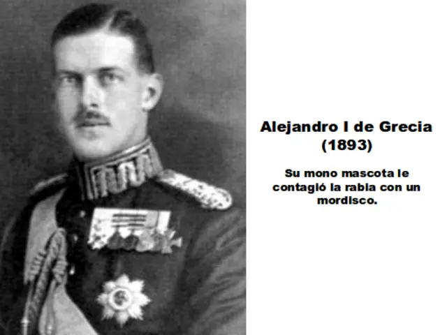 Muertes absurdas (JD)