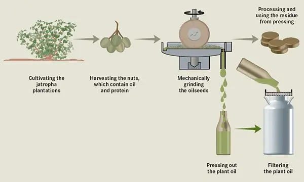 Biocombustibles ¿Que es Biodiesel ?
