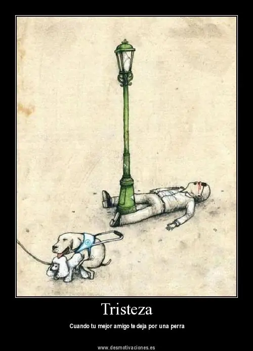 Para reirse un rato largo -Humor-