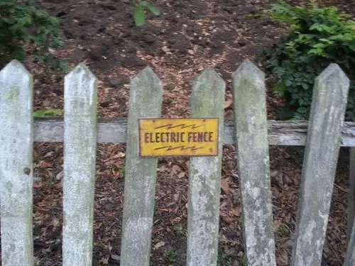 ect