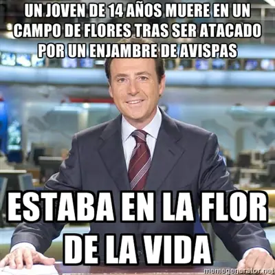 memes